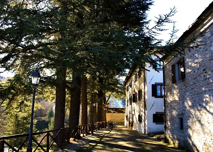 호텔 Il Palazzo Ridracoli