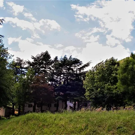 Il Palazzo Ridracoli 3*