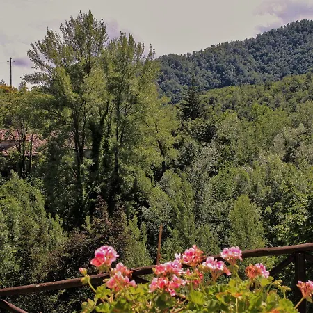 Il Palazzo Ridracoli 3*