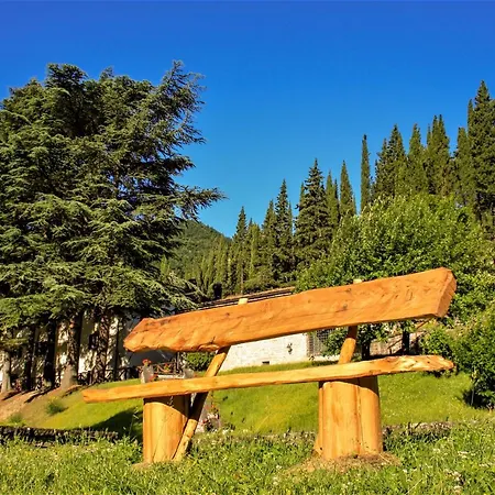 Il Palazzo Ridracoli 3*