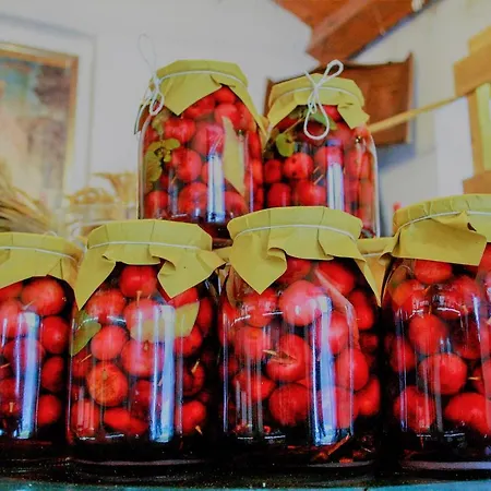 Il Palazzo Ridracoli Hotel 3*