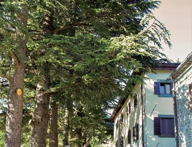 Il Palazzo Ridracoli 3*