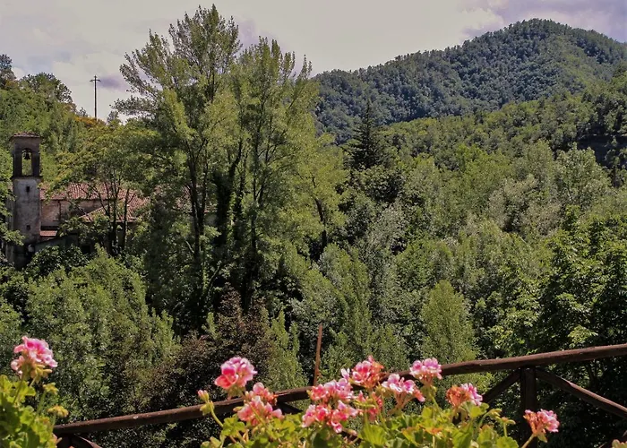 Il Palazzo Ridracoli 3*