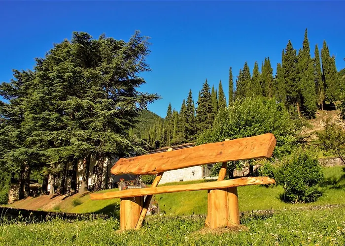 Il Palazzo Ridracoli 3*