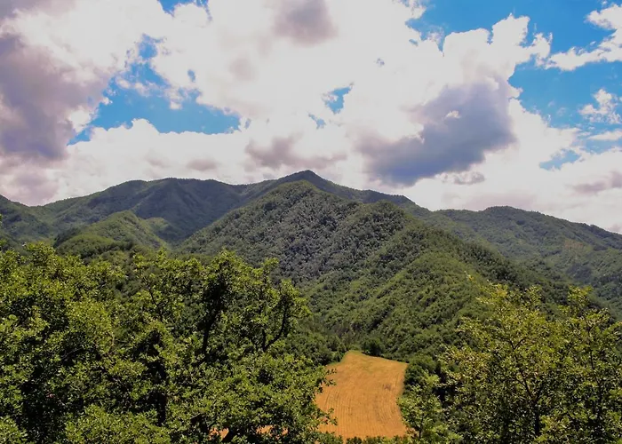 Il Palazzo Ridracoli 3* Bagno di Romagna
