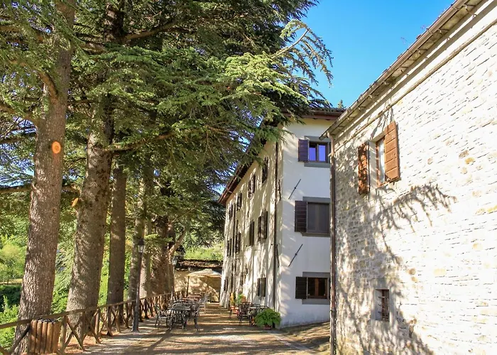 Il Palazzo Ridracoli 3*